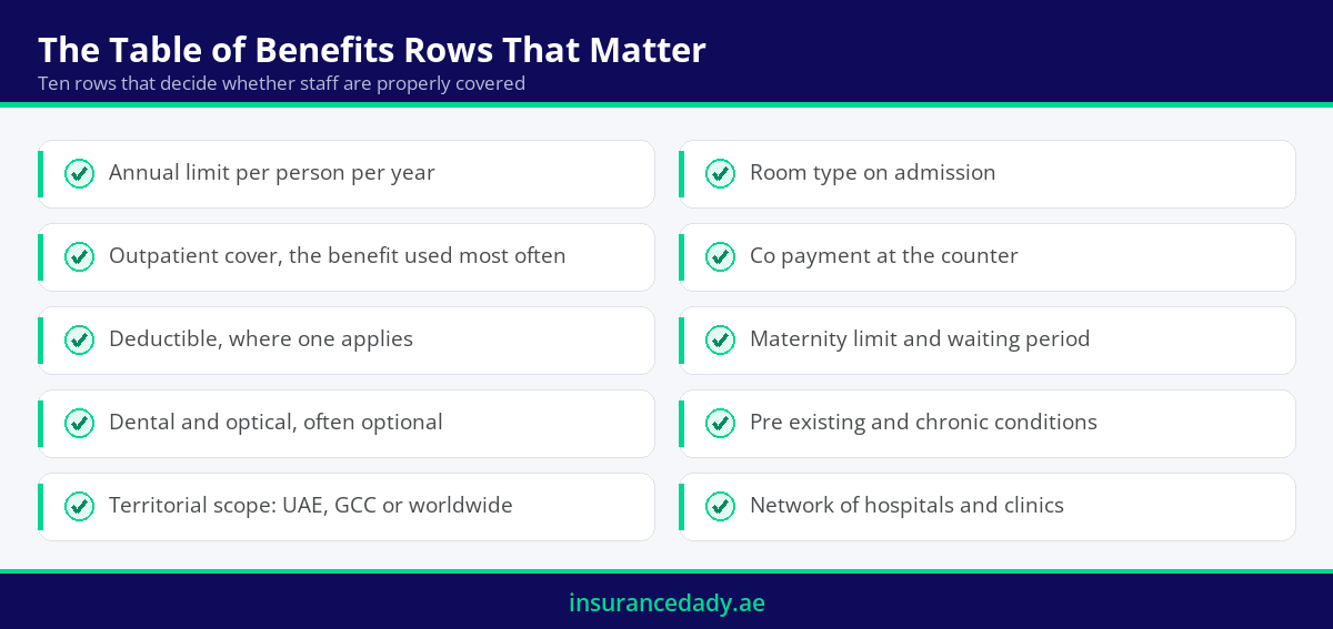 Infographic listing the rows in a group medical insurance table of benefits that matter most to employers